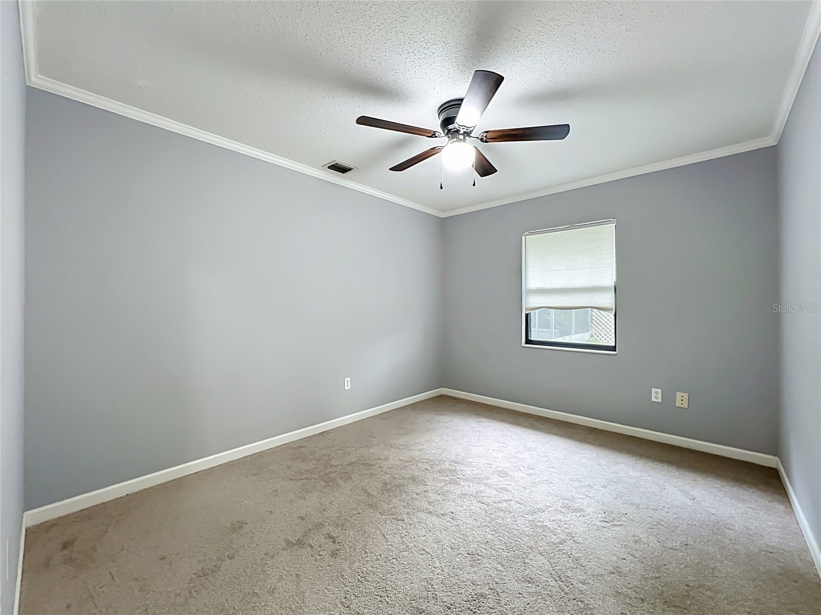 300 Pinecrest Road Mount Dora FL 32757 G5115340 image43