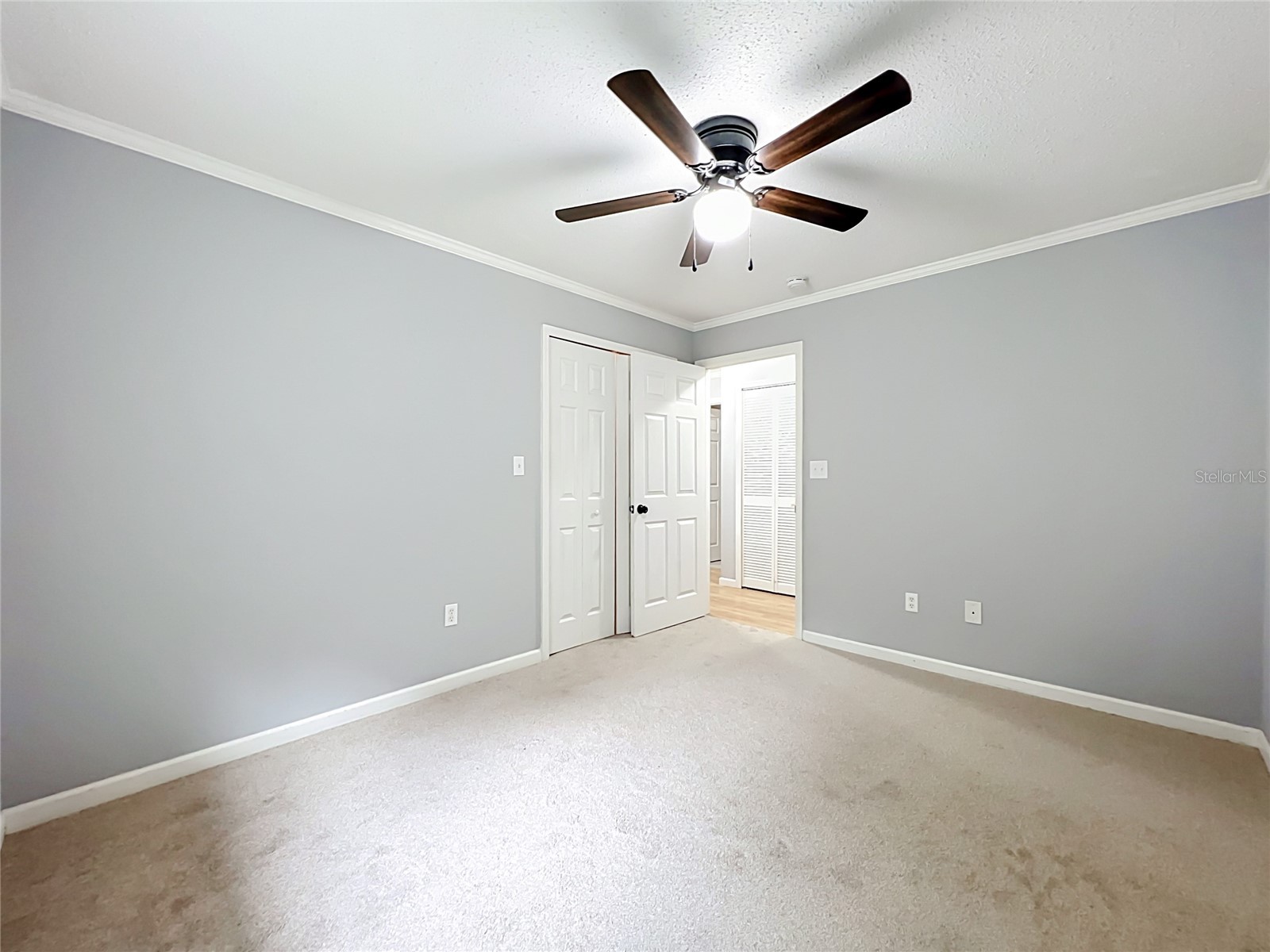 300 Pinecrest Road Mount Dora FL 32757 G5115340 image44