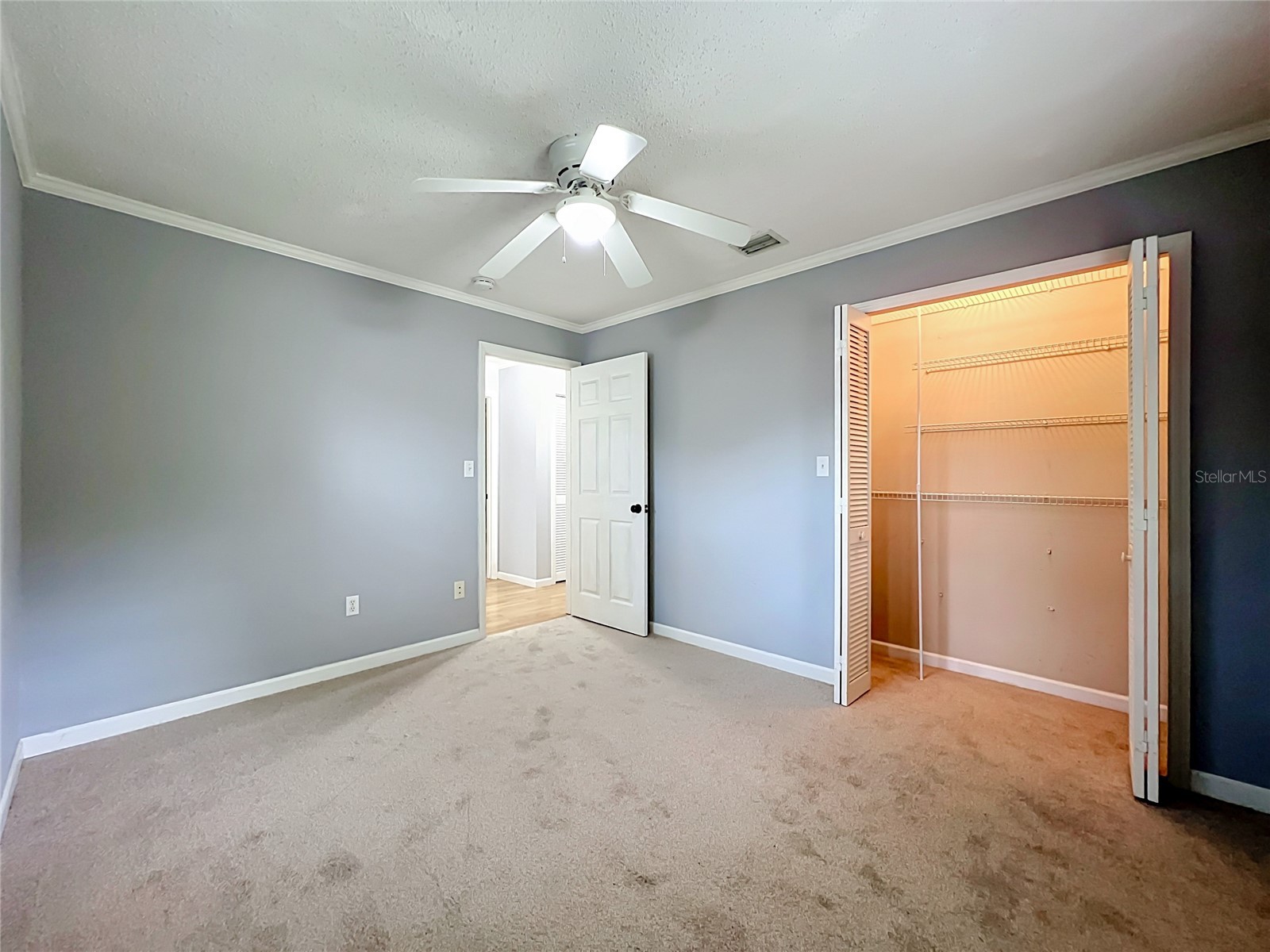 300 Pinecrest Road Mount Dora FL 32757 G5115340 image45