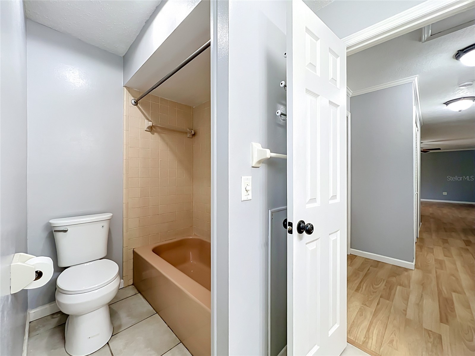 300 Pinecrest Road Mount Dora FL 32757 G5115340 image46