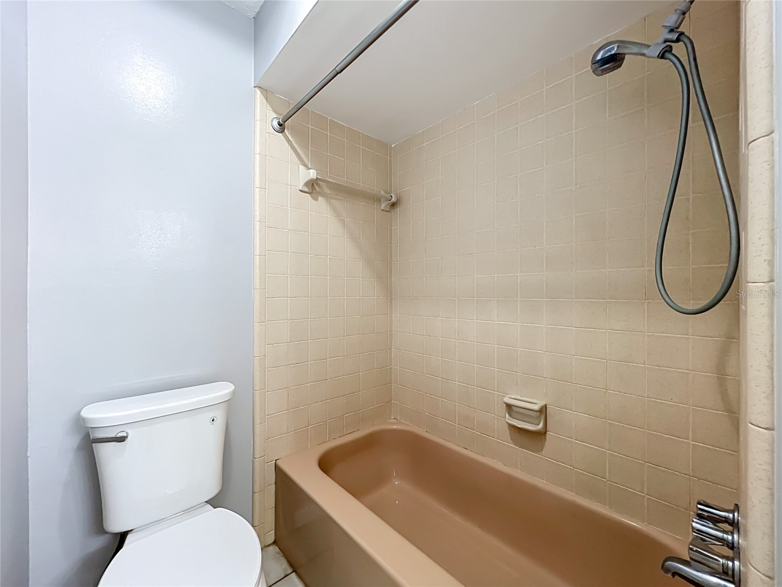 300 Pinecrest Road Mount Dora FL 32757 G5115340 image47