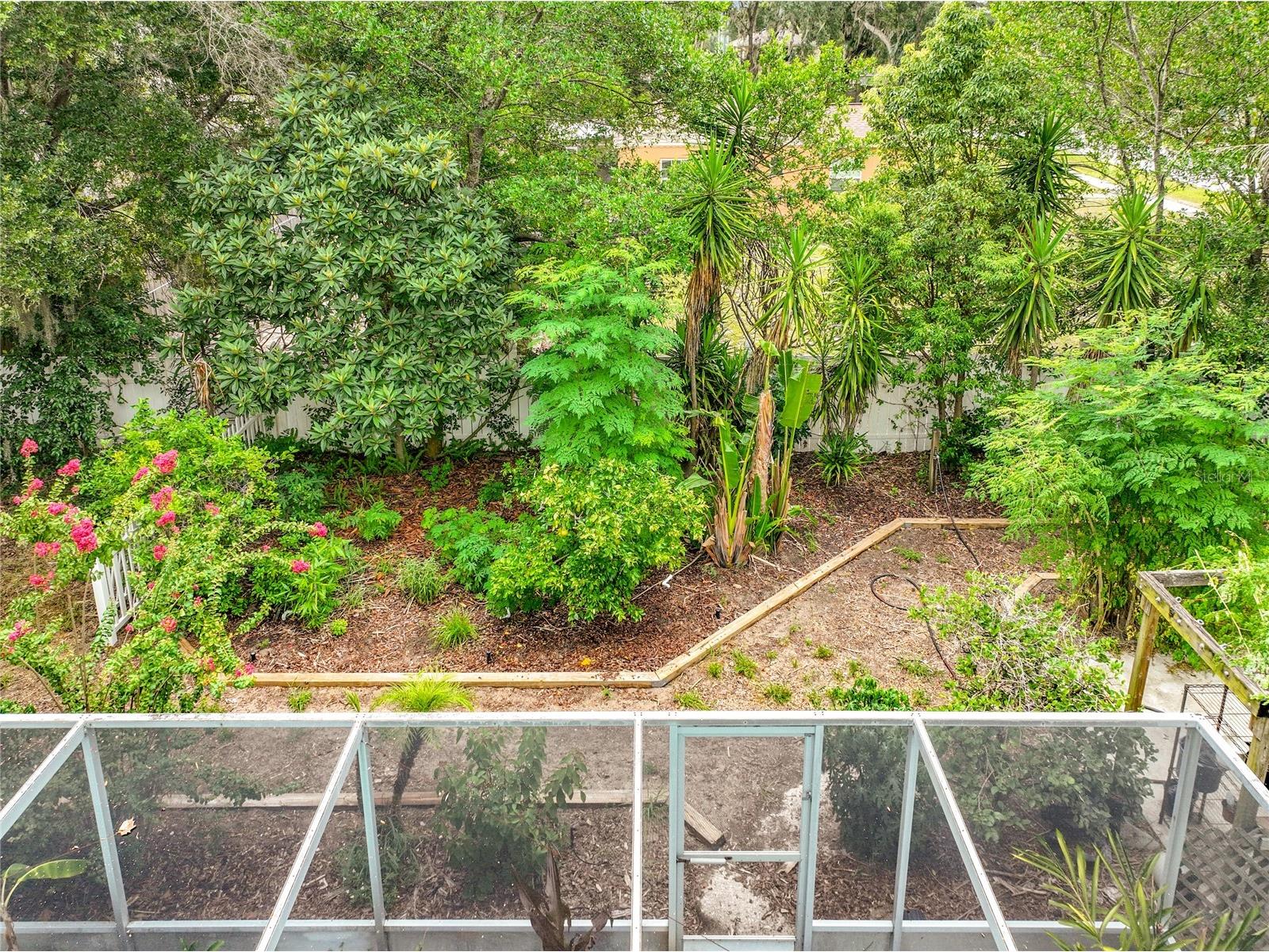 300 Pinecrest Road Mount Dora FL 32757 G5115340 image58