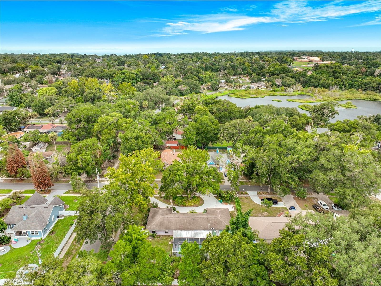 300 Pinecrest Road Mount Dora FL 32757 G5115340 image6