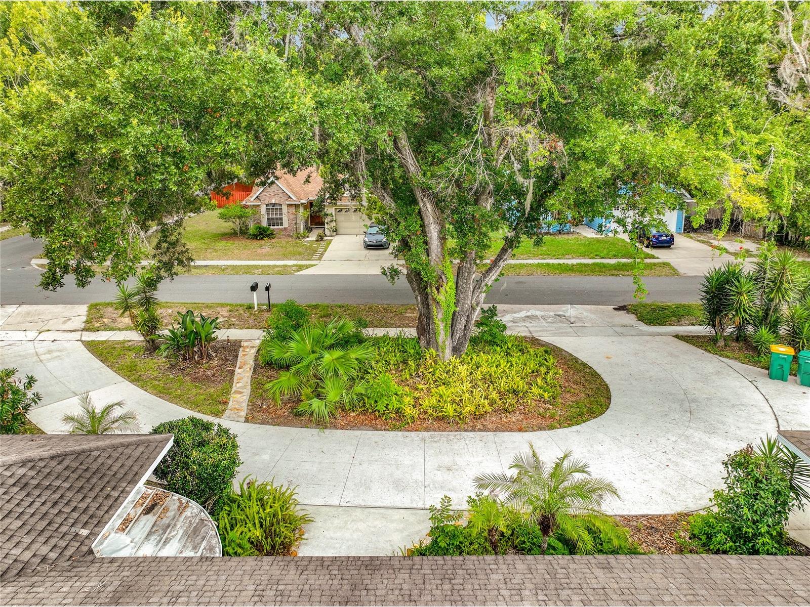 300 Pinecrest Road Mount Dora FL 32757 G5115340 image64