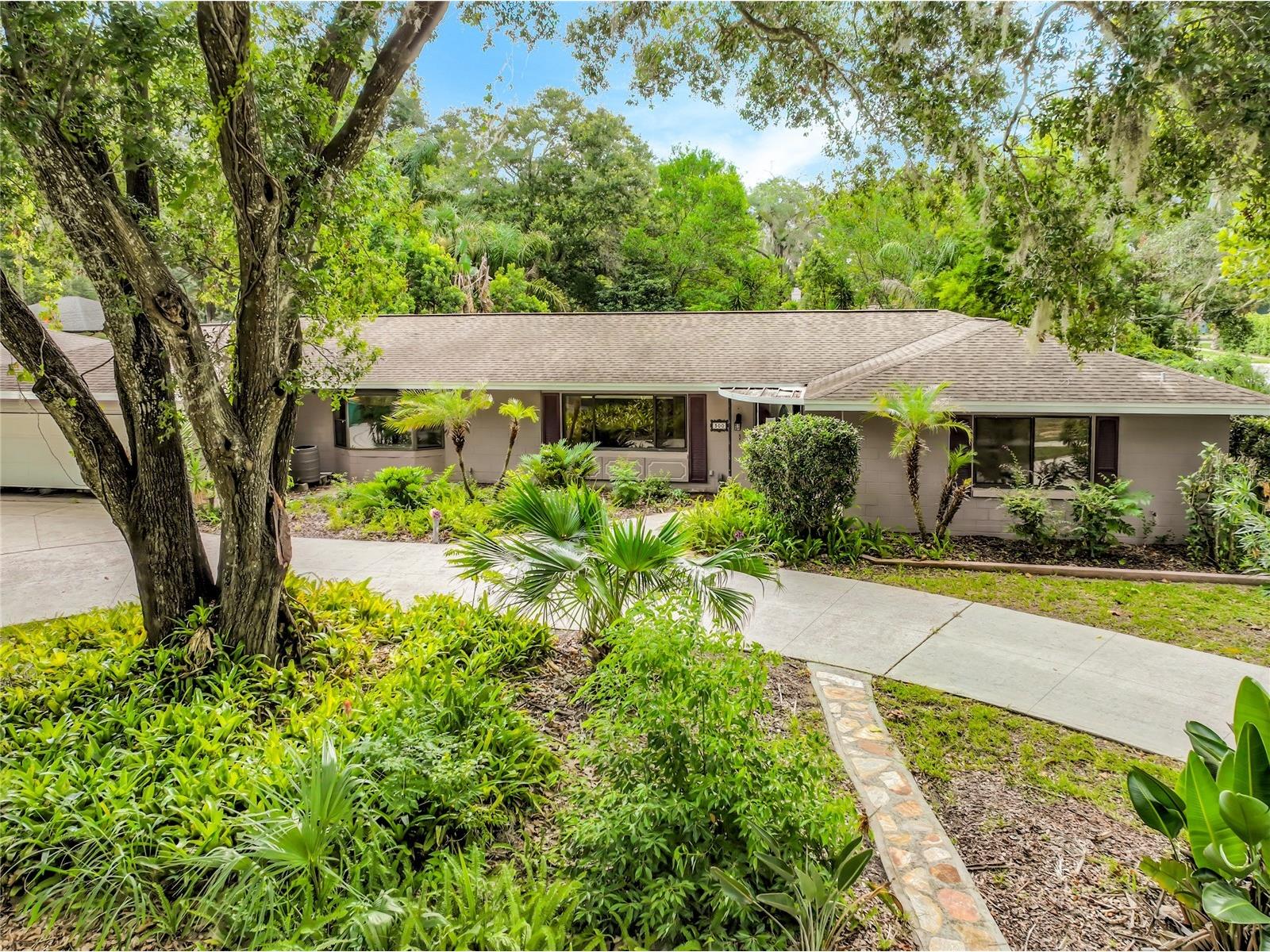 300 Pinecrest Road Mount Dora FL 32757 G5115340 image65