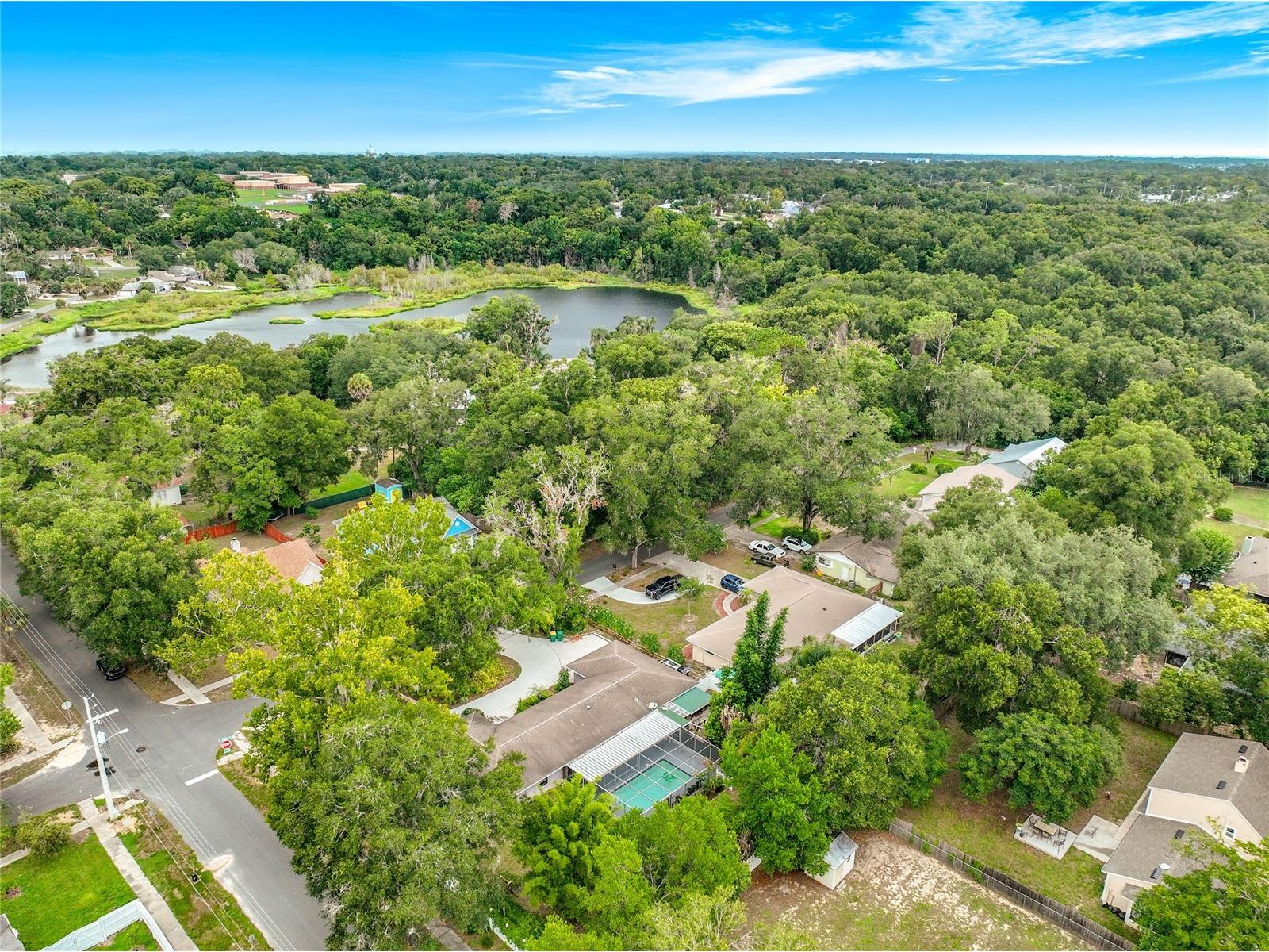 300 Pinecrest Road Mount Dora FL 32757 G5115340 image70