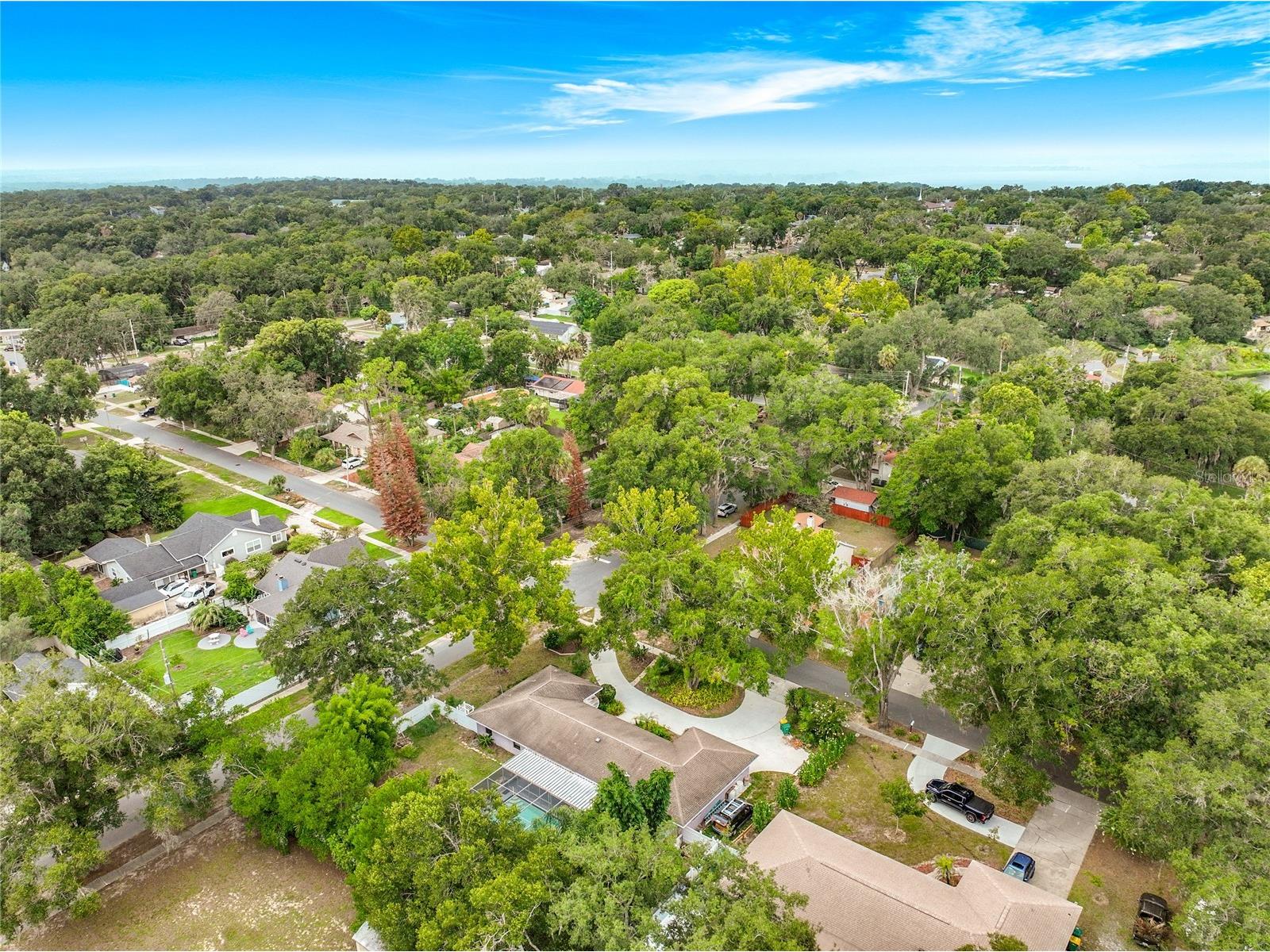 300 Pinecrest Road Mount Dora FL 32757 G5115340 image71
