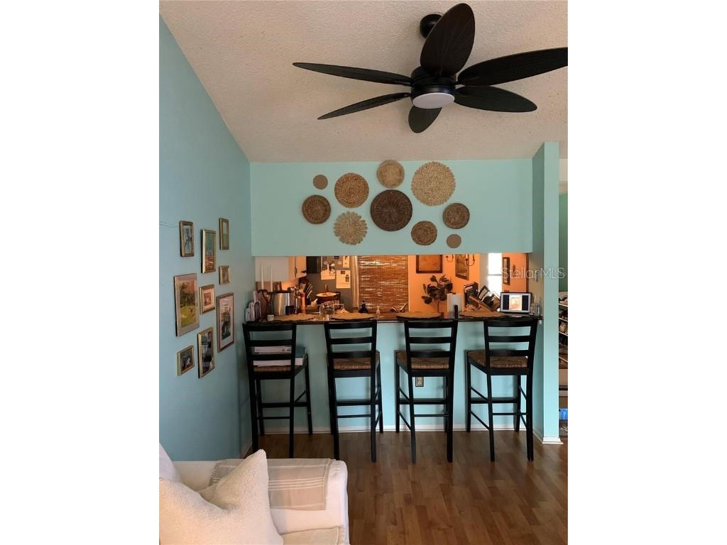 300 Plymouth Street Safety Harbor FL 34695 TB8434694 image8