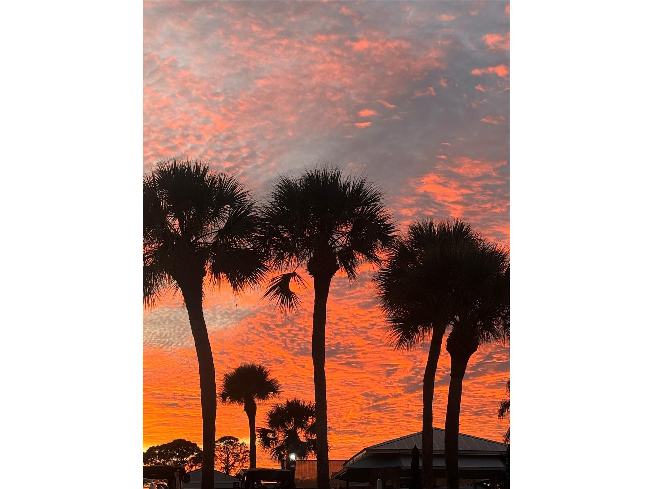300 Royal Troon Loop Davenport FL 33837 O6372745 image22