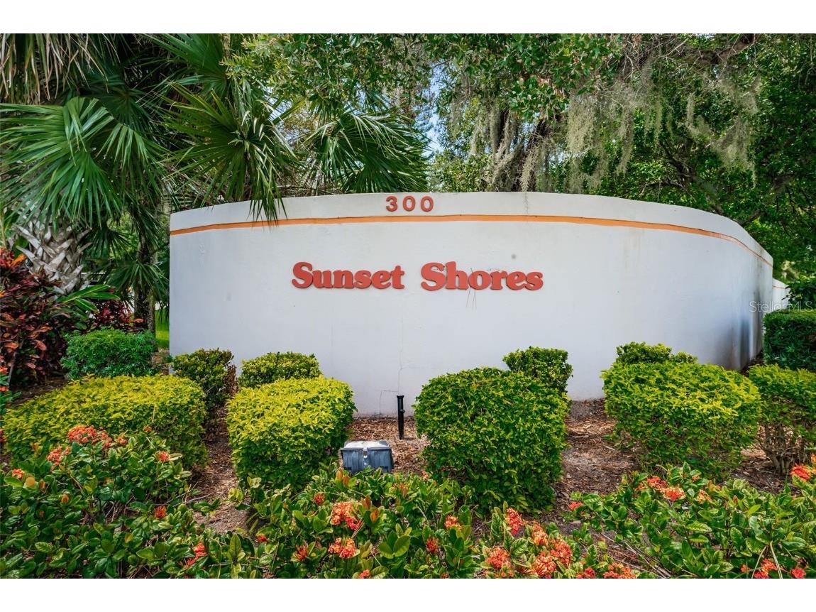 300 S Florida Avenue #200J Tarpon Springs FL 34689 TB8384604 image43