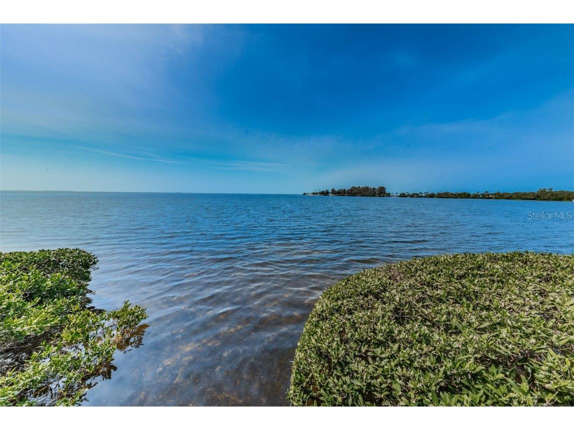 300 S Florida Avenue #200J Tarpon Springs FL 34689 TB8384604 image59