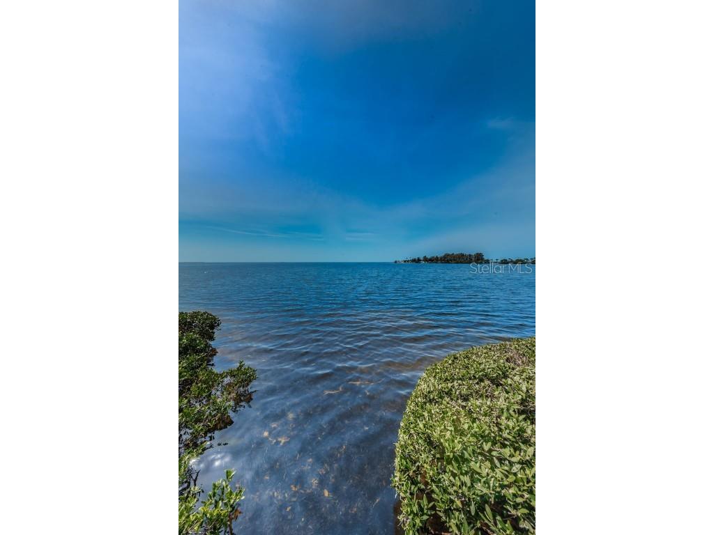 300 S Florida Avenue #200J Tarpon Springs FL 34689 TB8384604 image60