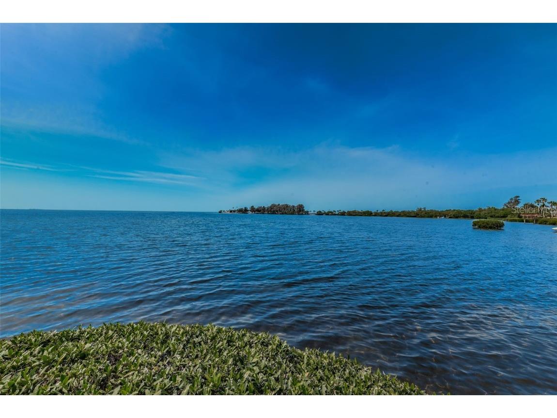 300 S Florida Avenue #200J Tarpon Springs FL 34689 TB8384604 image61