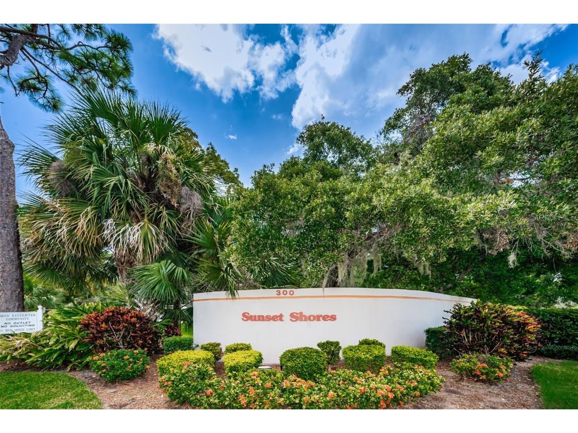 300 S Florida Avenue #200J Tarpon Springs FL 34689 TB8384604 image62