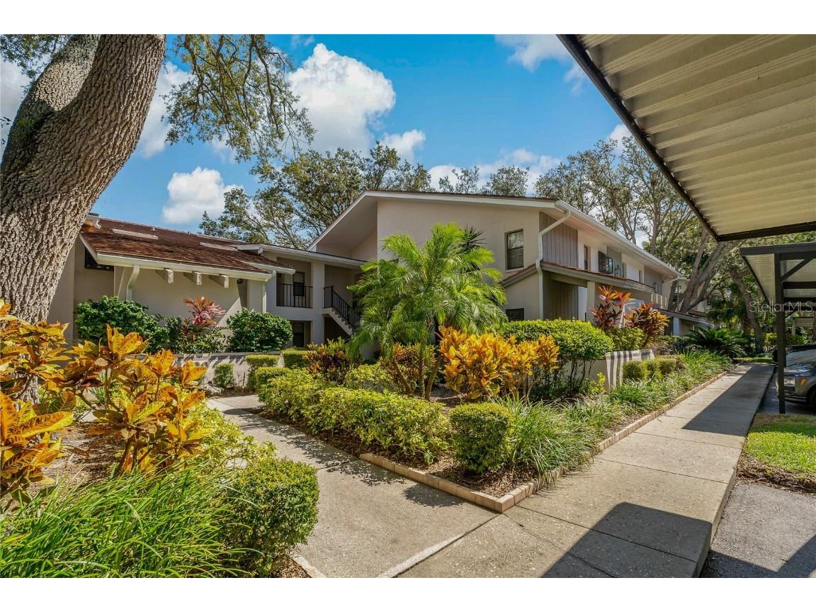 300 S Florida Avenue #300F Tarpon Springs FL 34689 - GULF OF AMERICA TB8408369 image34