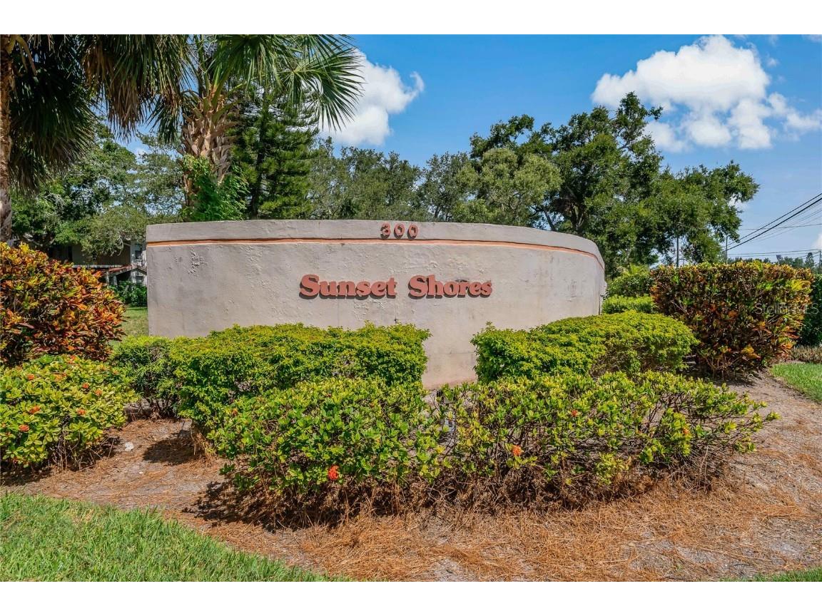 300 S Florida Avenue #300F Tarpon Springs FL 34689 - GULF OF AMERICA TB8408369 image35