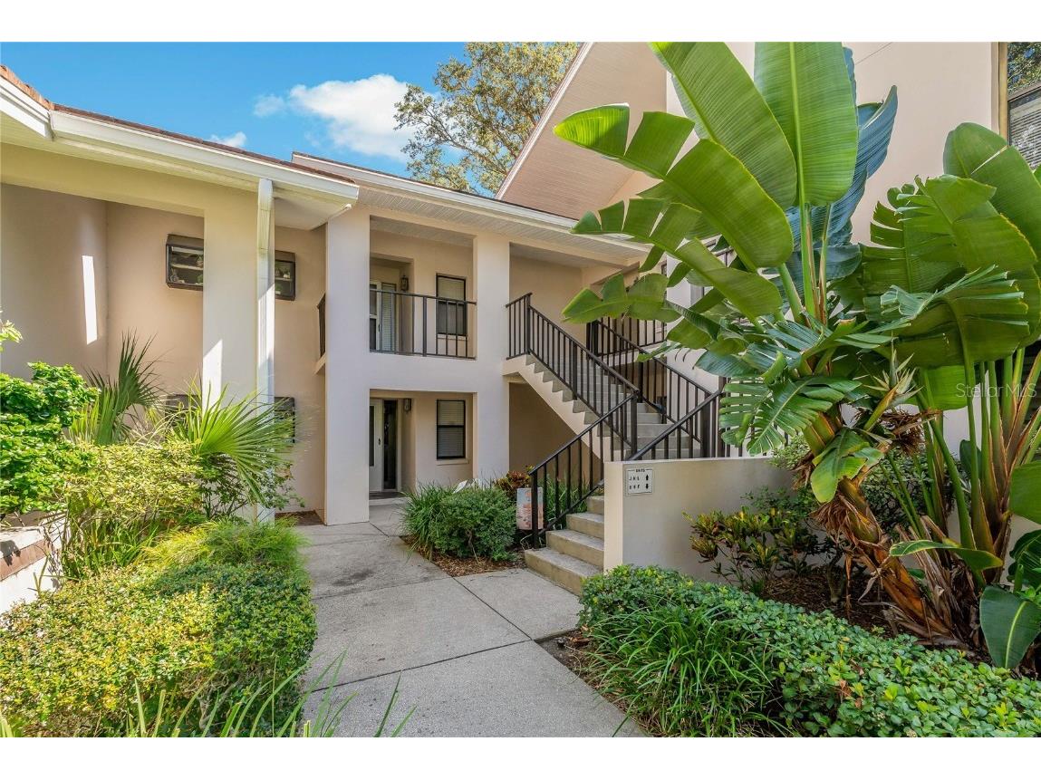 300 S Florida Avenue #300F Tarpon Springs FL 34689 - GULF OF AMERICA TB8408369 image37