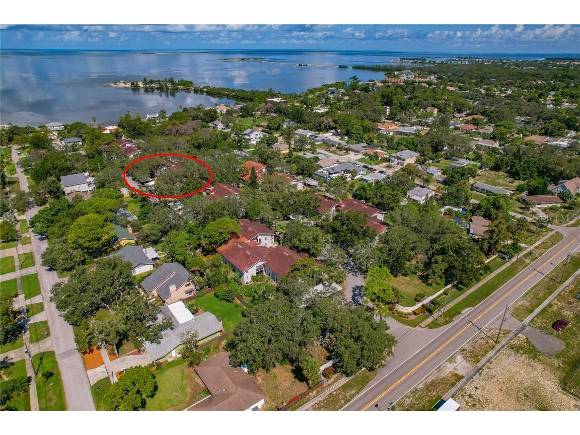 300 S Florida Avenue #300F Tarpon Springs FL 34689 - GULF OF AMERICA TB8408369 image39