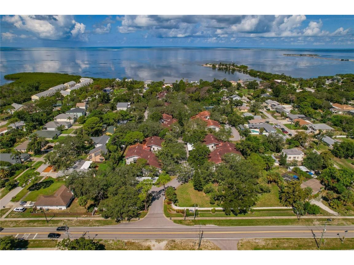 300 S Florida Avenue #300F Tarpon Springs FL 34689 - GULF OF AMERICA TB8408369 image40