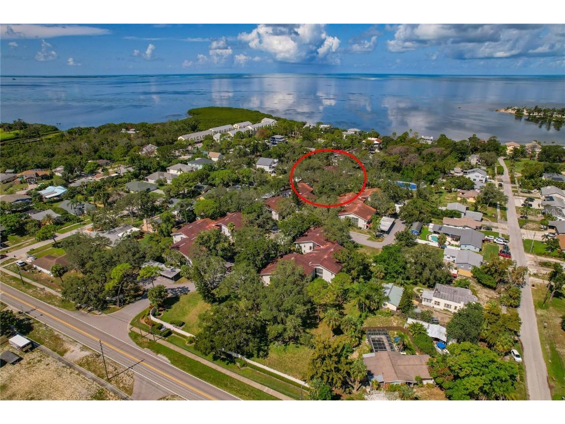 300 S Florida Avenue #300F Tarpon Springs FL 34689 - GULF OF AMERICA TB8408369 image41