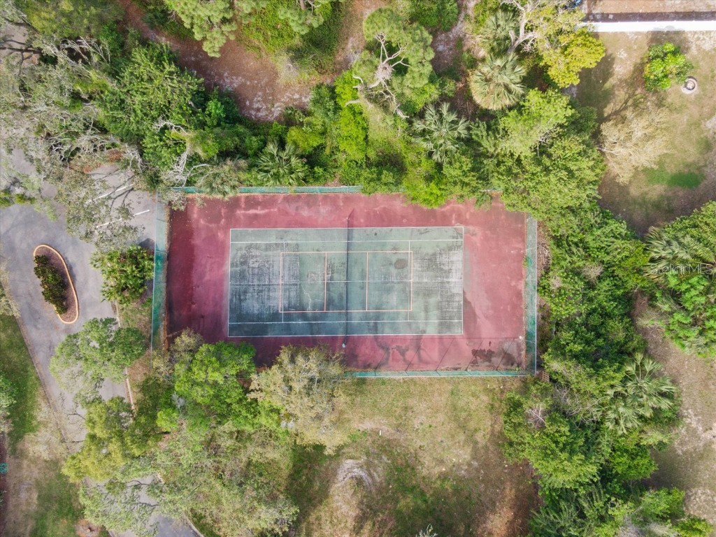 300 S Florida Avenue #500C Tarpon Springs FL 34689 TB8308955 image36