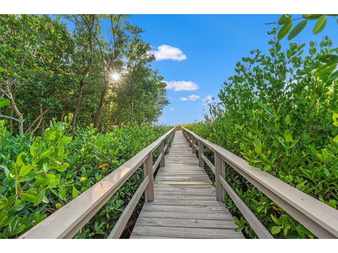 300 S Florida Avenue #600F Tarpon Springs FL 34689 W7880104 image45