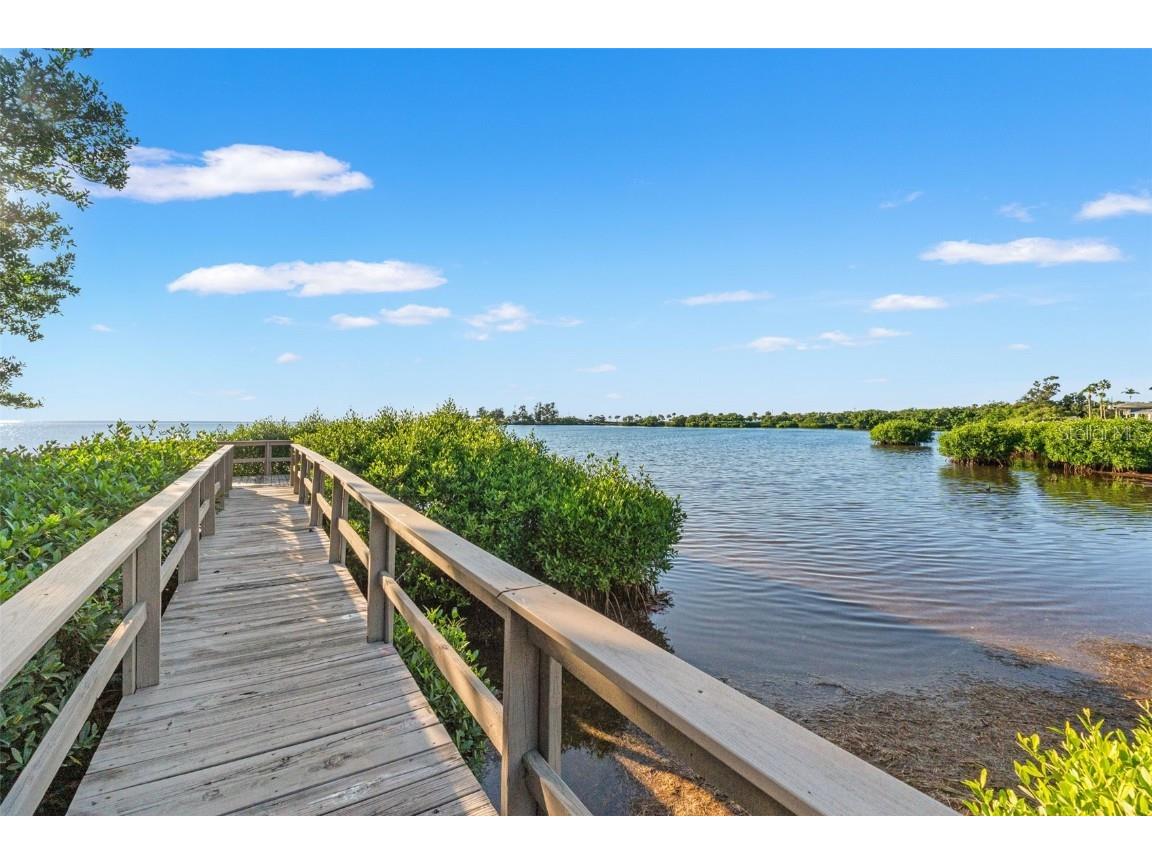 300 S Florida Avenue #600F Tarpon Springs FL 34689 W7880104 image46