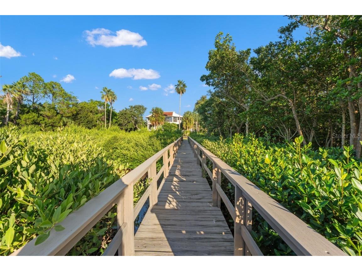 300 S Florida Avenue #600F Tarpon Springs FL 34689 W7880104 image49