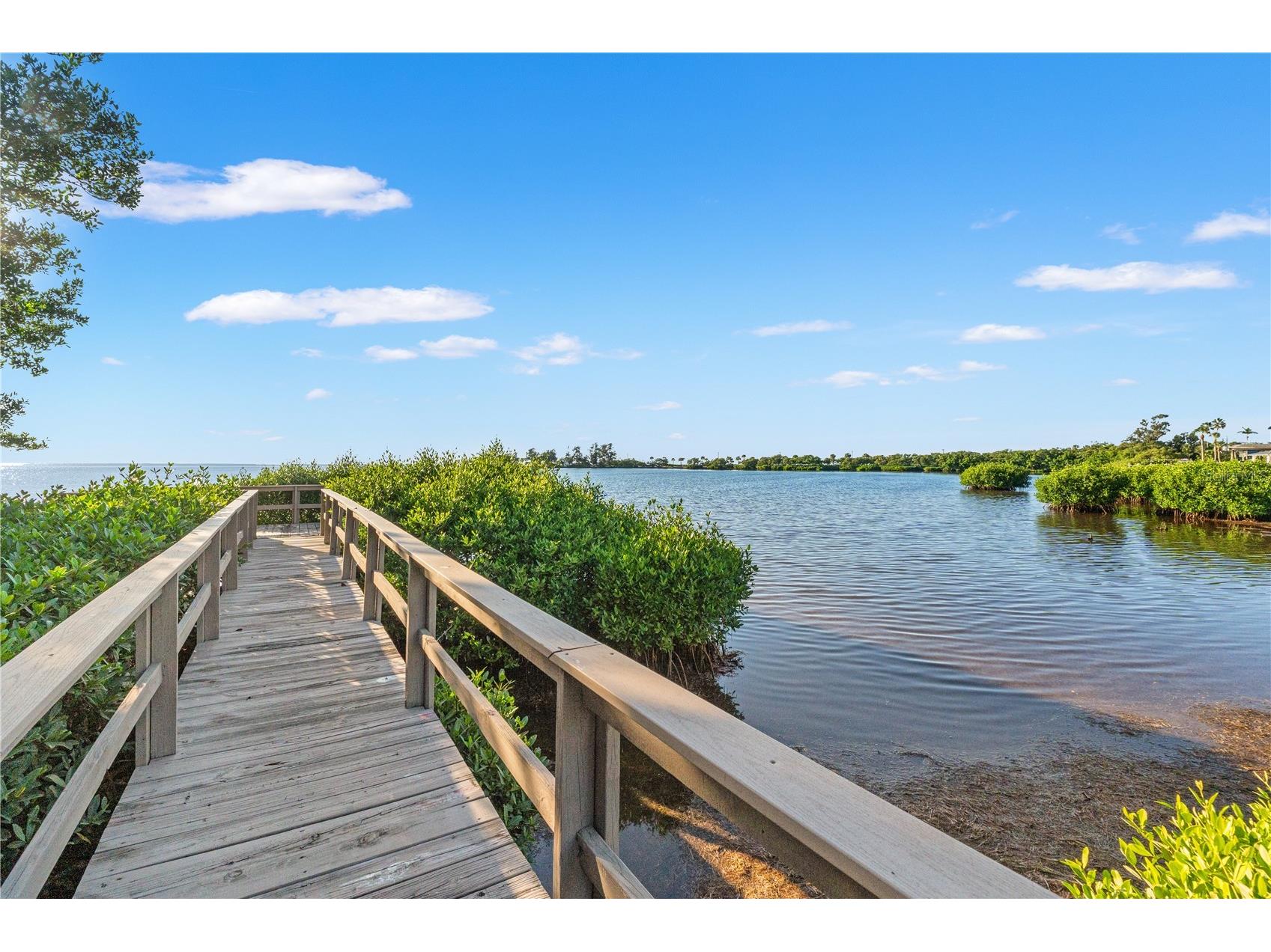 300 S Florida Avenue #600F Tarpon Springs FL 34689 W7885257 image45