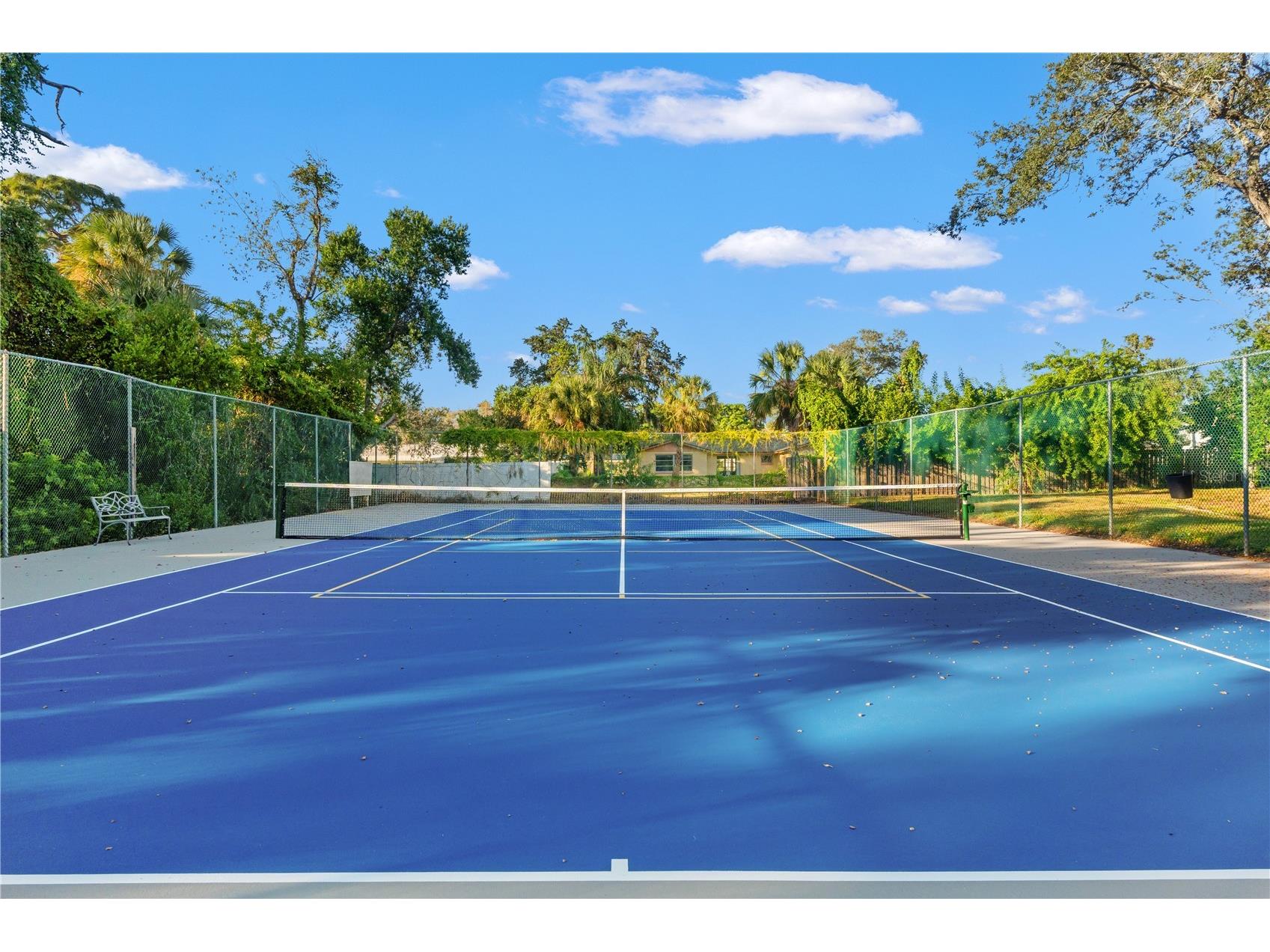 300 S Florida Avenue #600F Tarpon Springs FL 34689 W7885257 image51