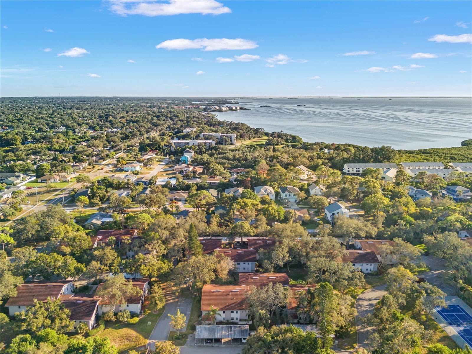 300 S Florida Avenue #600F Tarpon Springs FL 34689 W7885257 image59
