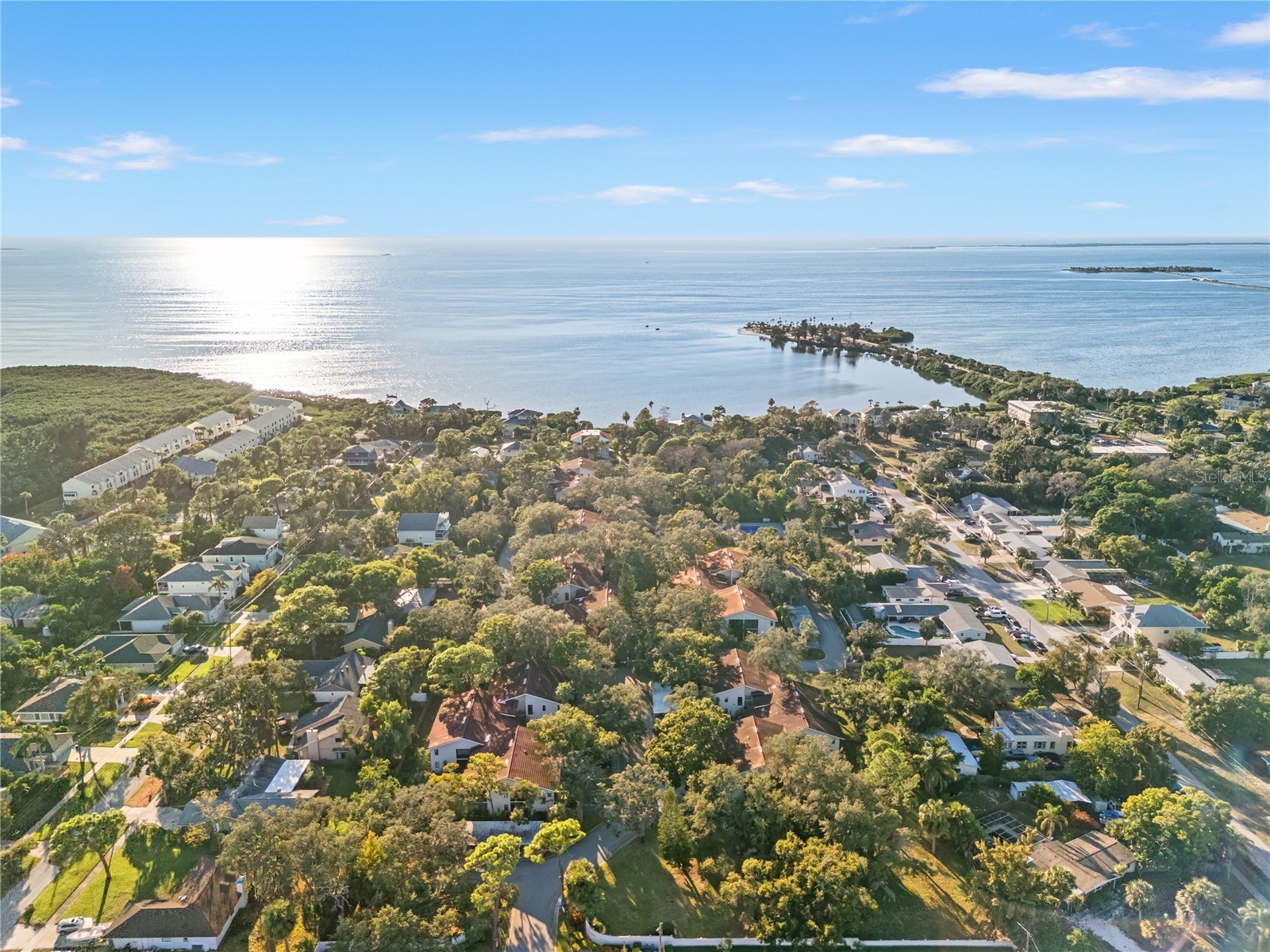 300 S Florida Avenue #600F Tarpon Springs FL 34689 W7885257 image60
