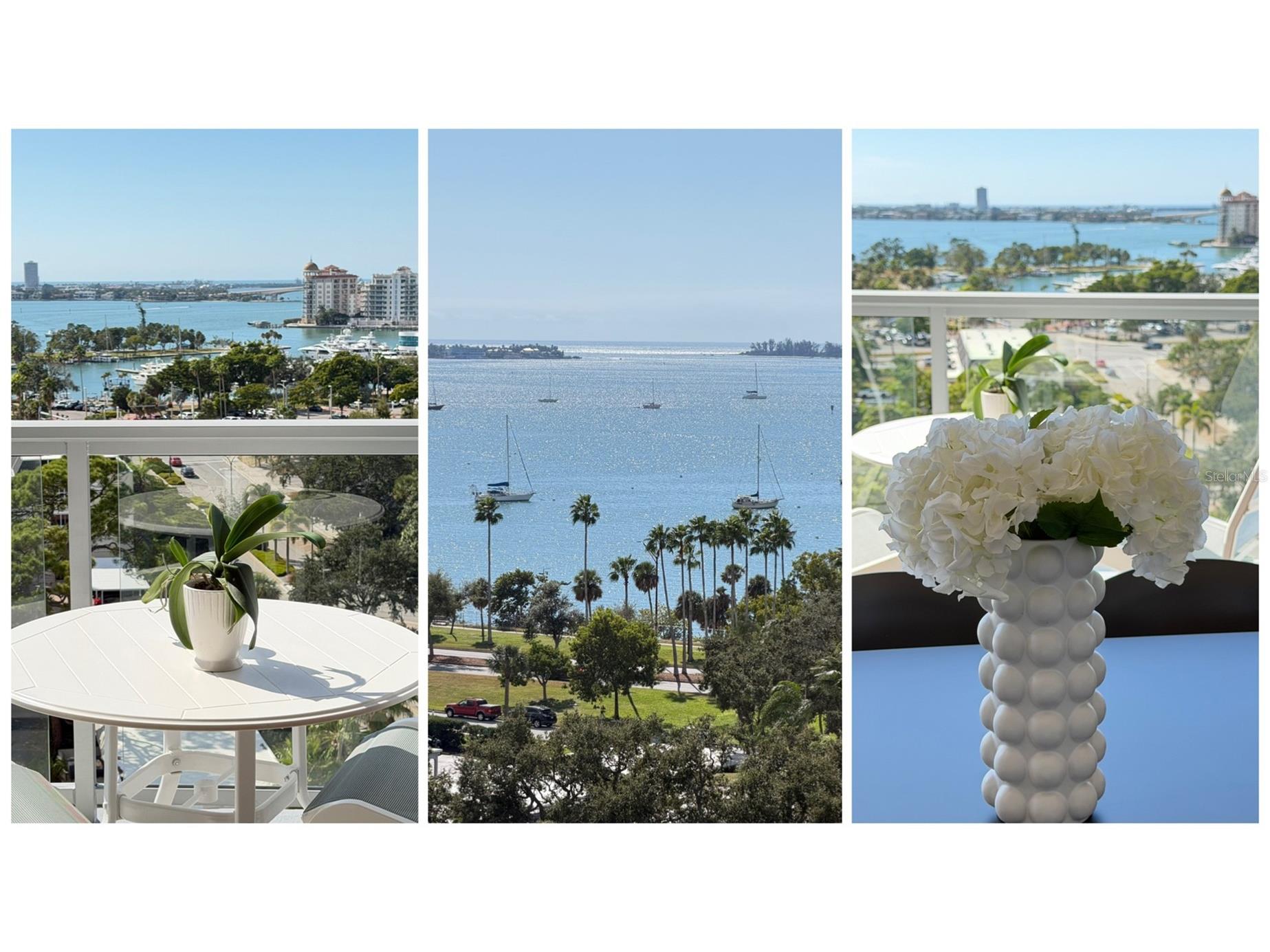 300 S Pineapple Avenue #302 Sarasota FL 34236 A4691974 image44