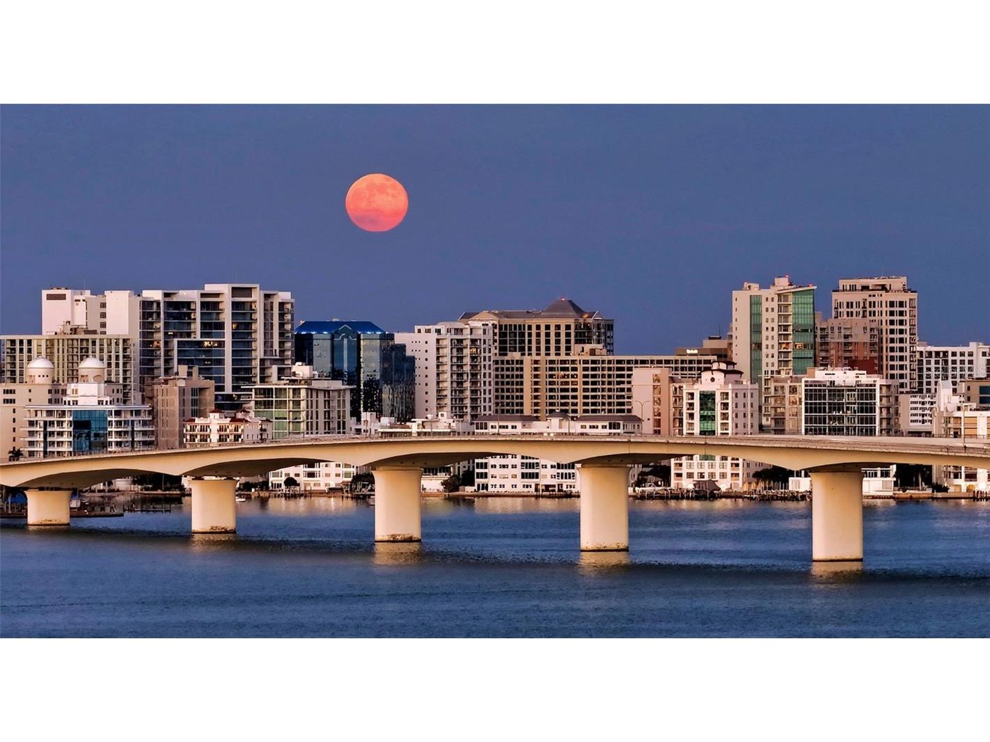 300 S Pineapple Avenue #902 Sarasota FL 34236 - SARASOTA BAY A4672560 image57