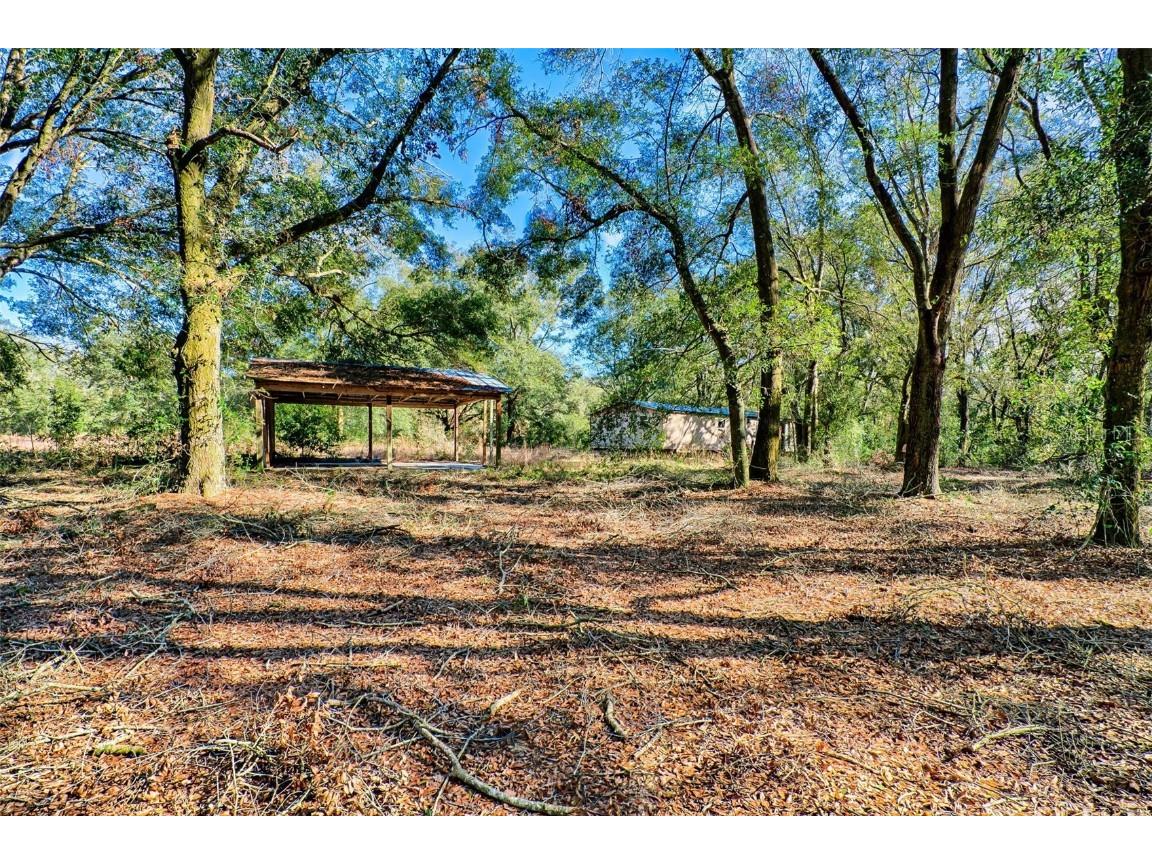 300 S Us Highway 129 Bell FL 32619 GC527724 image21