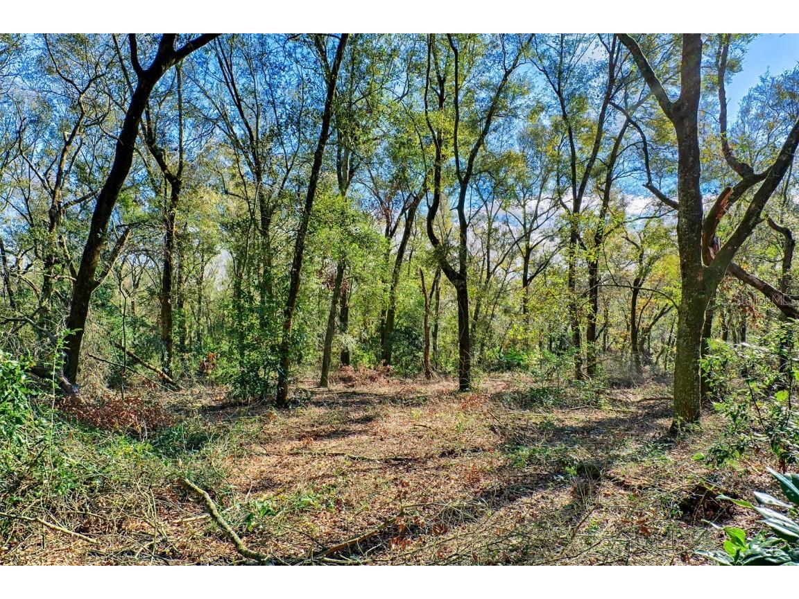 300 S Us Highway 129 Bell FL 32619 GC527724 image24