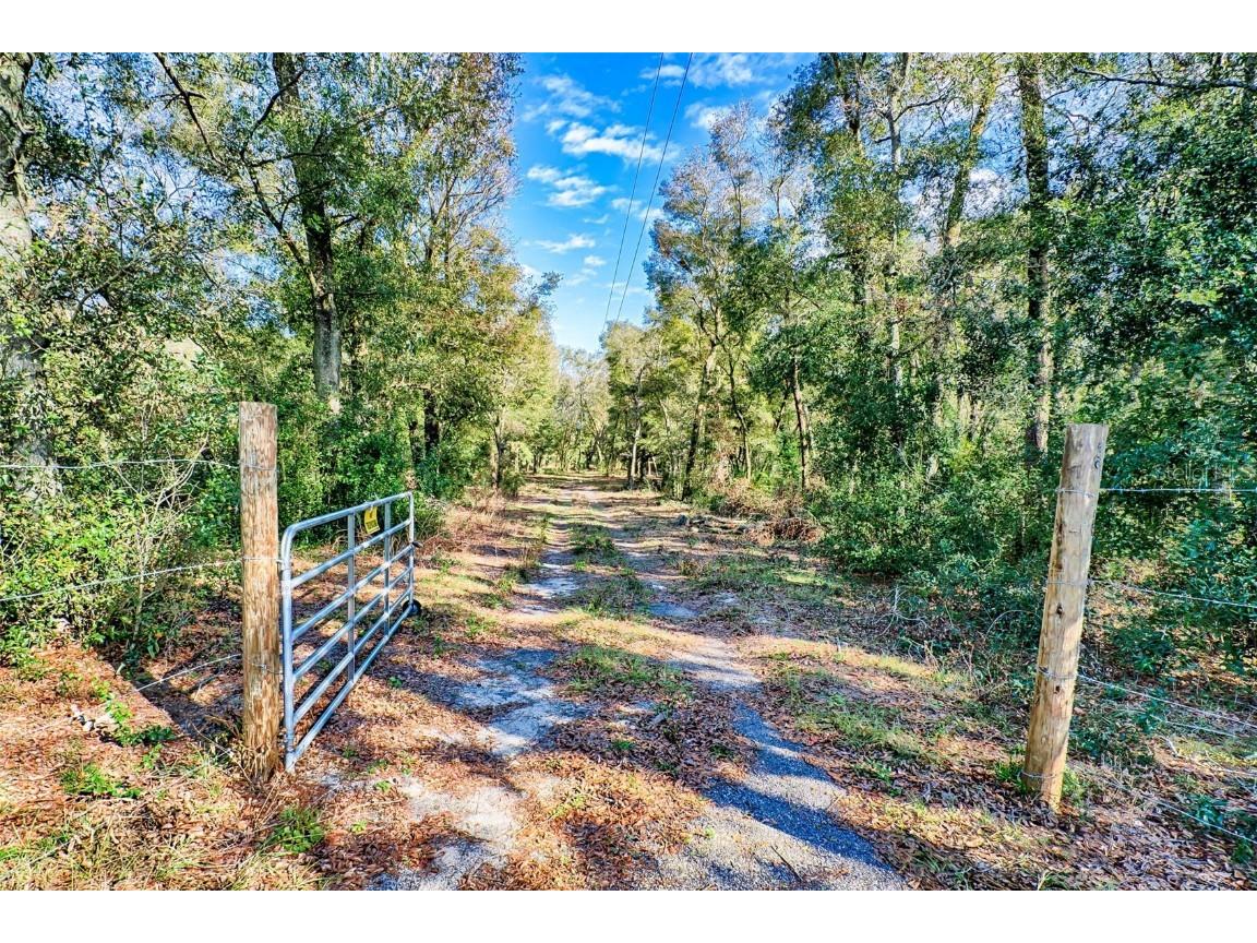 300 S Us Highway 129 Bell FL 32619 GC527724 image26