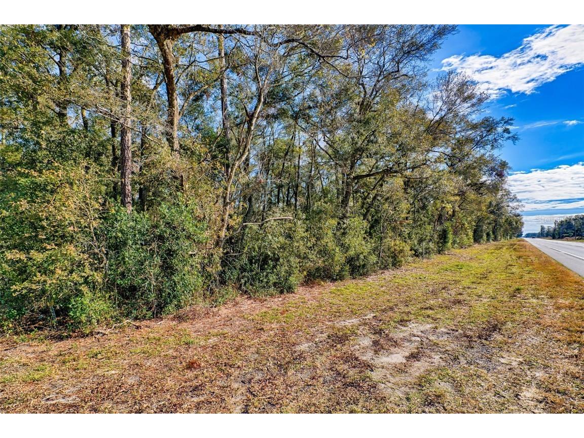 300 S Us Highway 129 Bell FL 32619 GC527724 image27