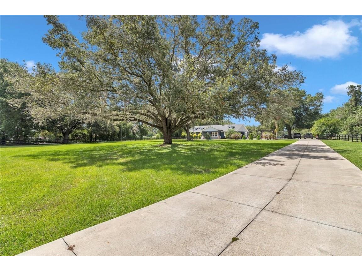 300 SE Highway 42 Summerfield FL 34491 OM703373 image64