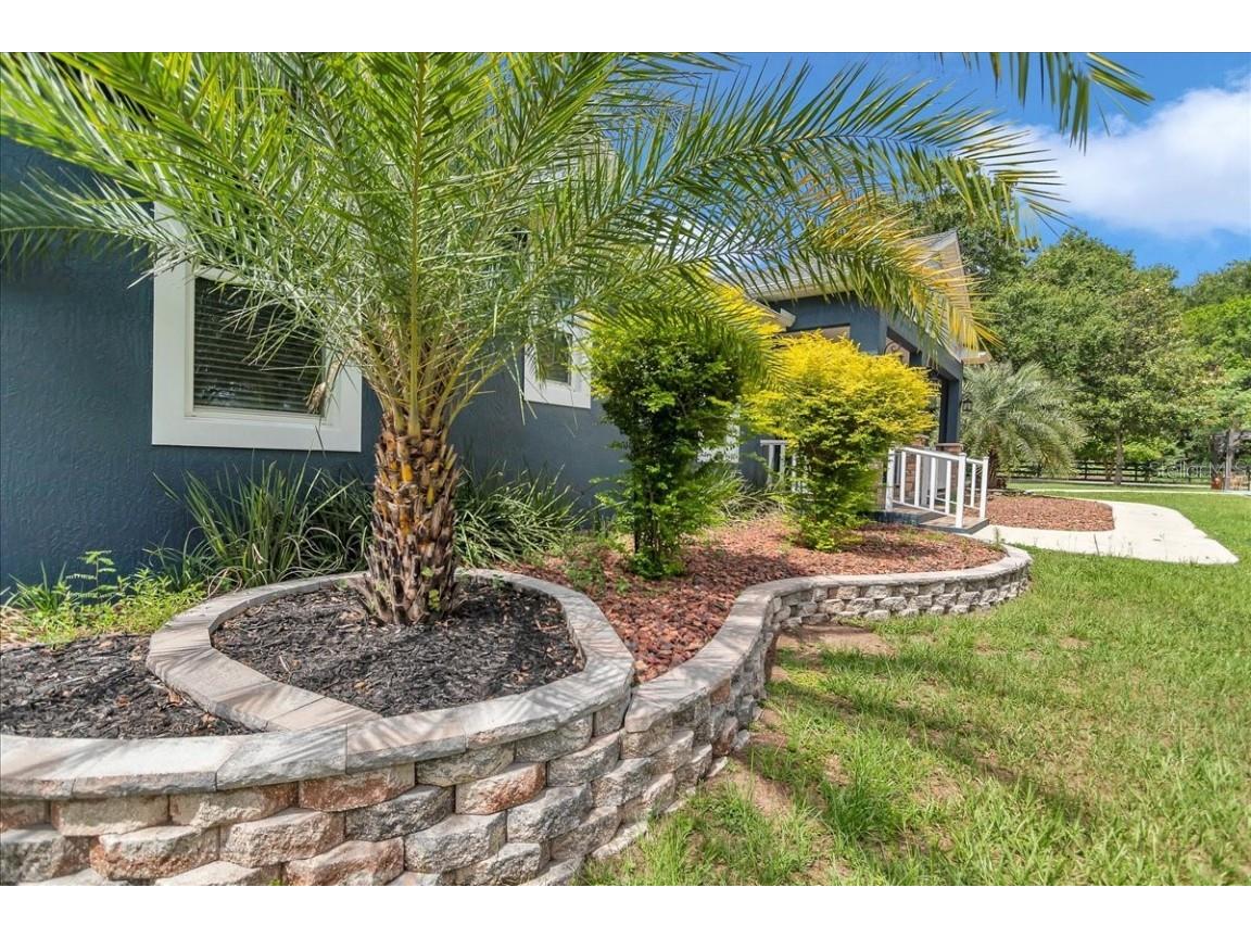 300 SE Highway 42 Summerfield FL 34491 OM703373 image74