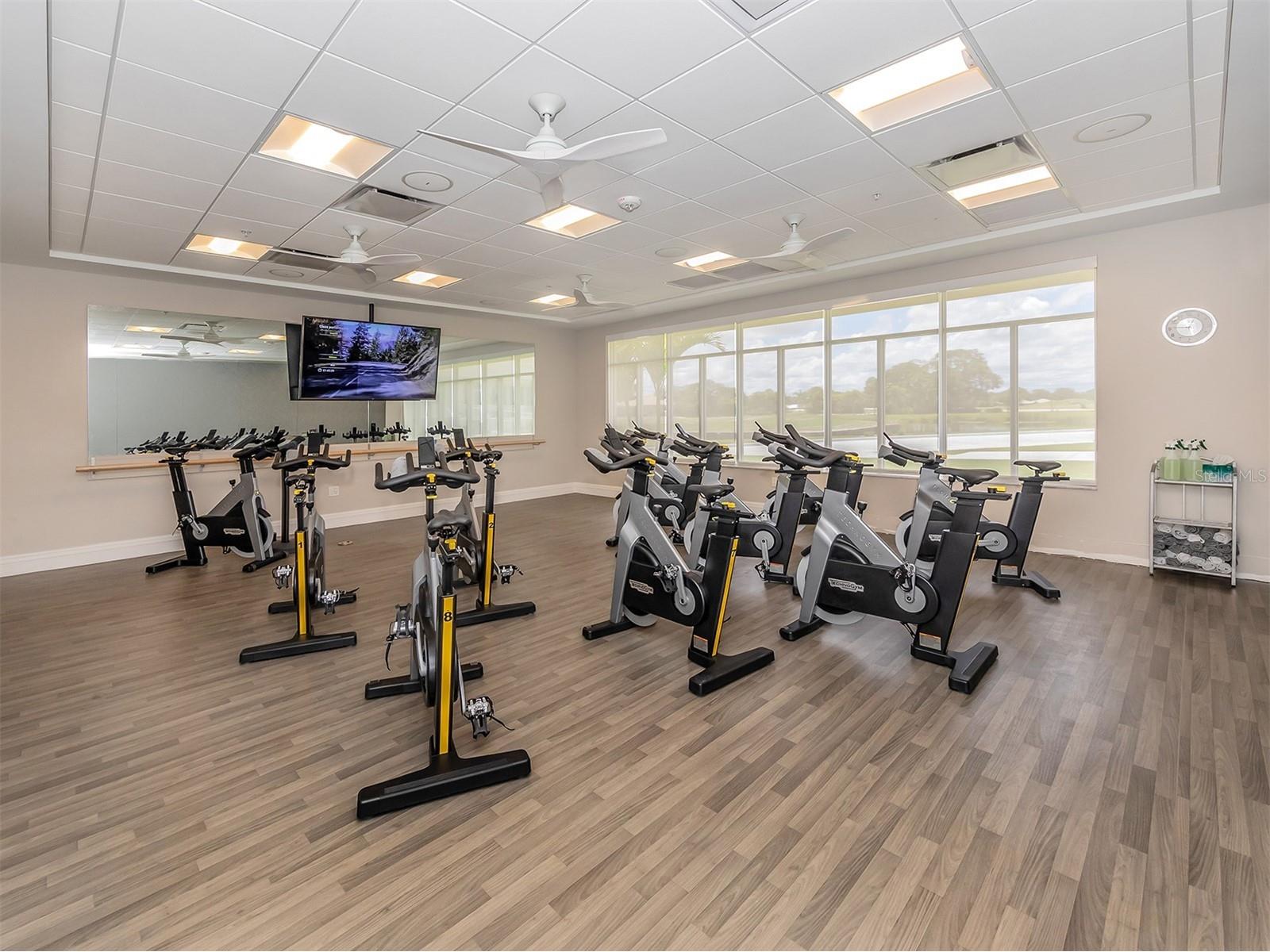 300 Stone Briar Creek Drive Venice FL 34292 N6142726 image49