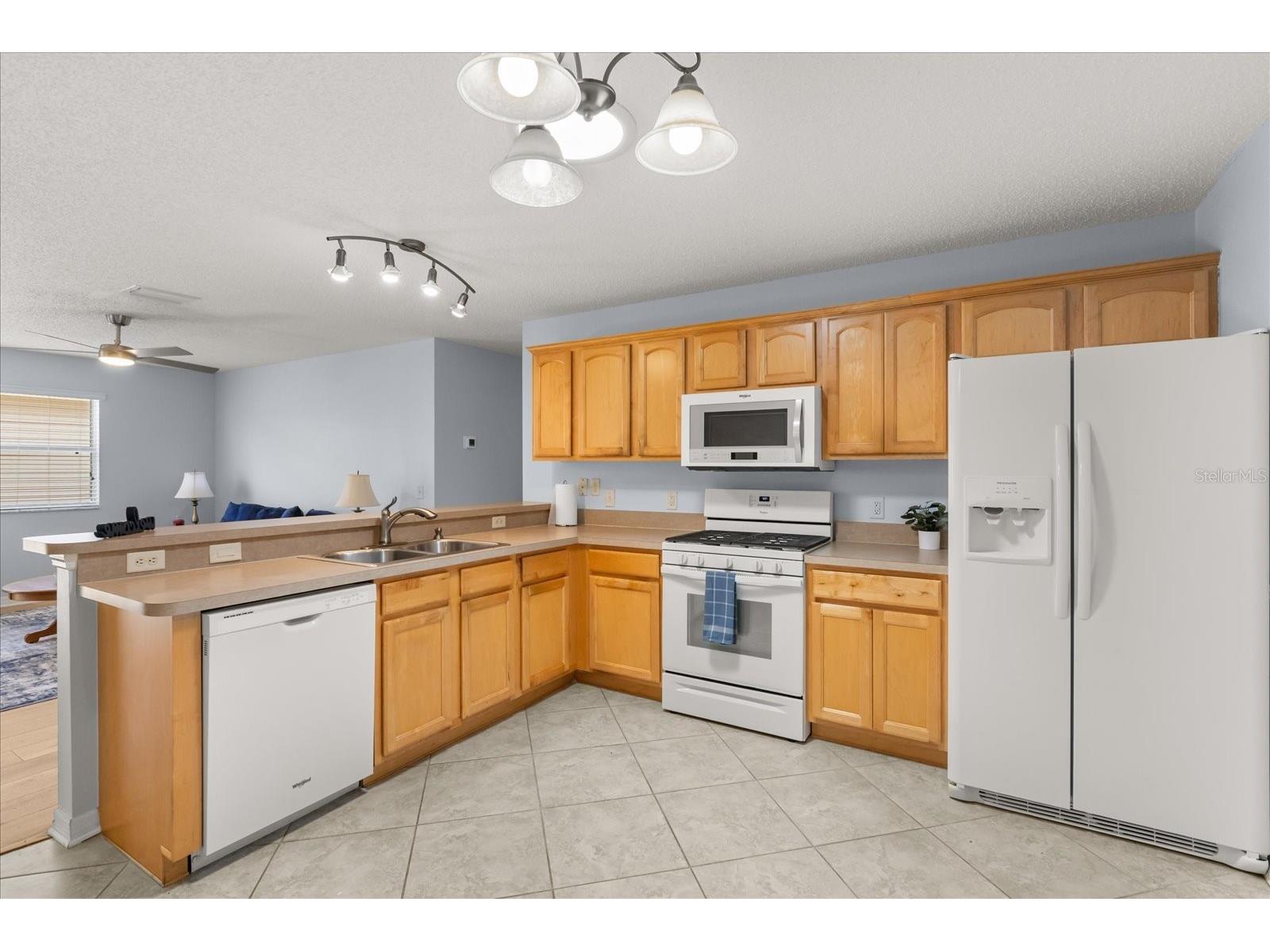 300 Varnville Way The Villages FL 32162 G5111449 image10