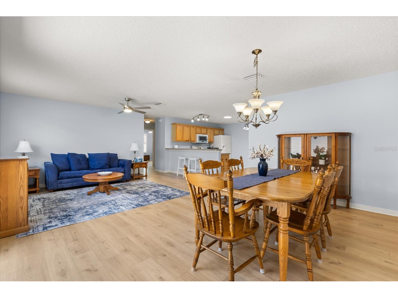300 Varnville Way The Villages FL 32162 G5111449 image4