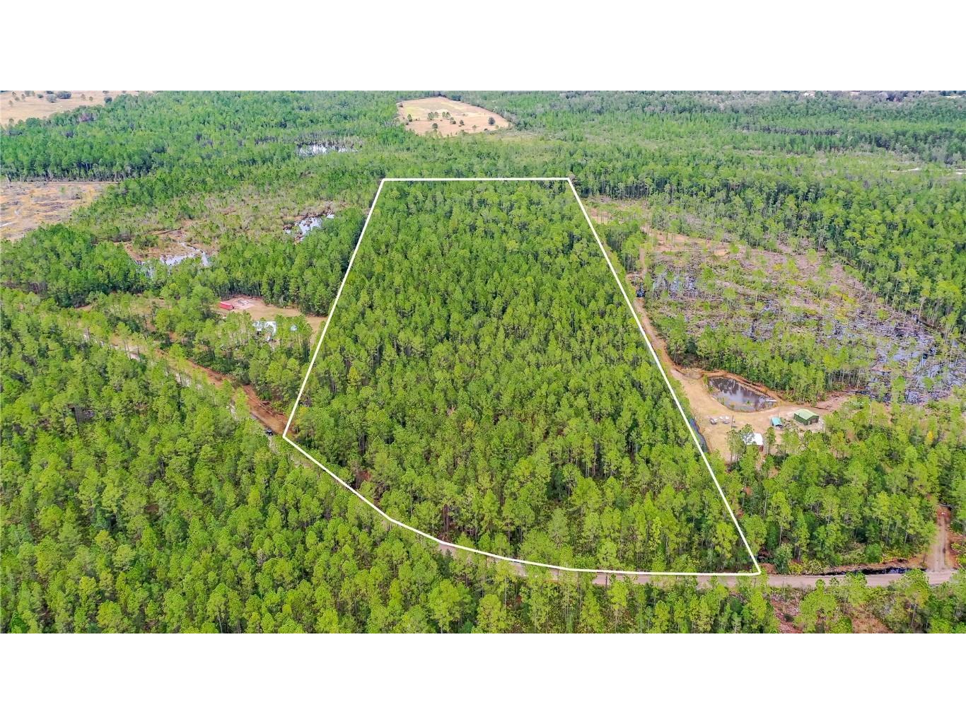 300 Volusian Forest Trail Pierson FL 32180 V4934318 image1