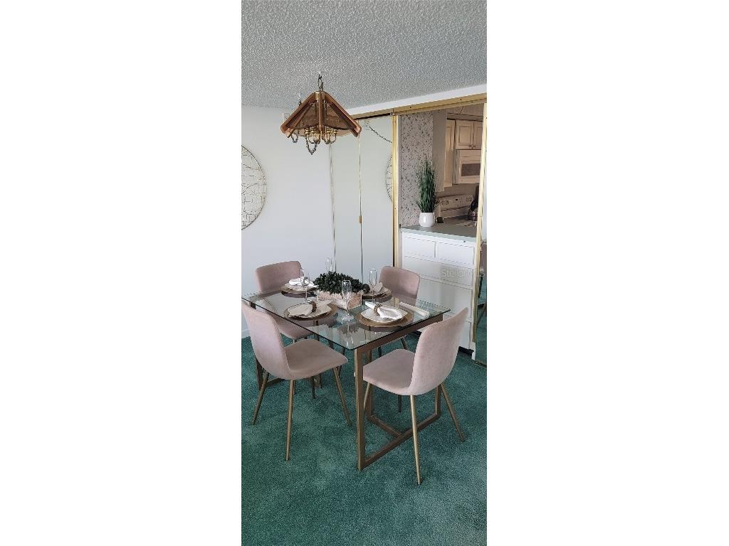 300 Woodette Drive #202B Dunedin FL 34698 TB8441728 image11