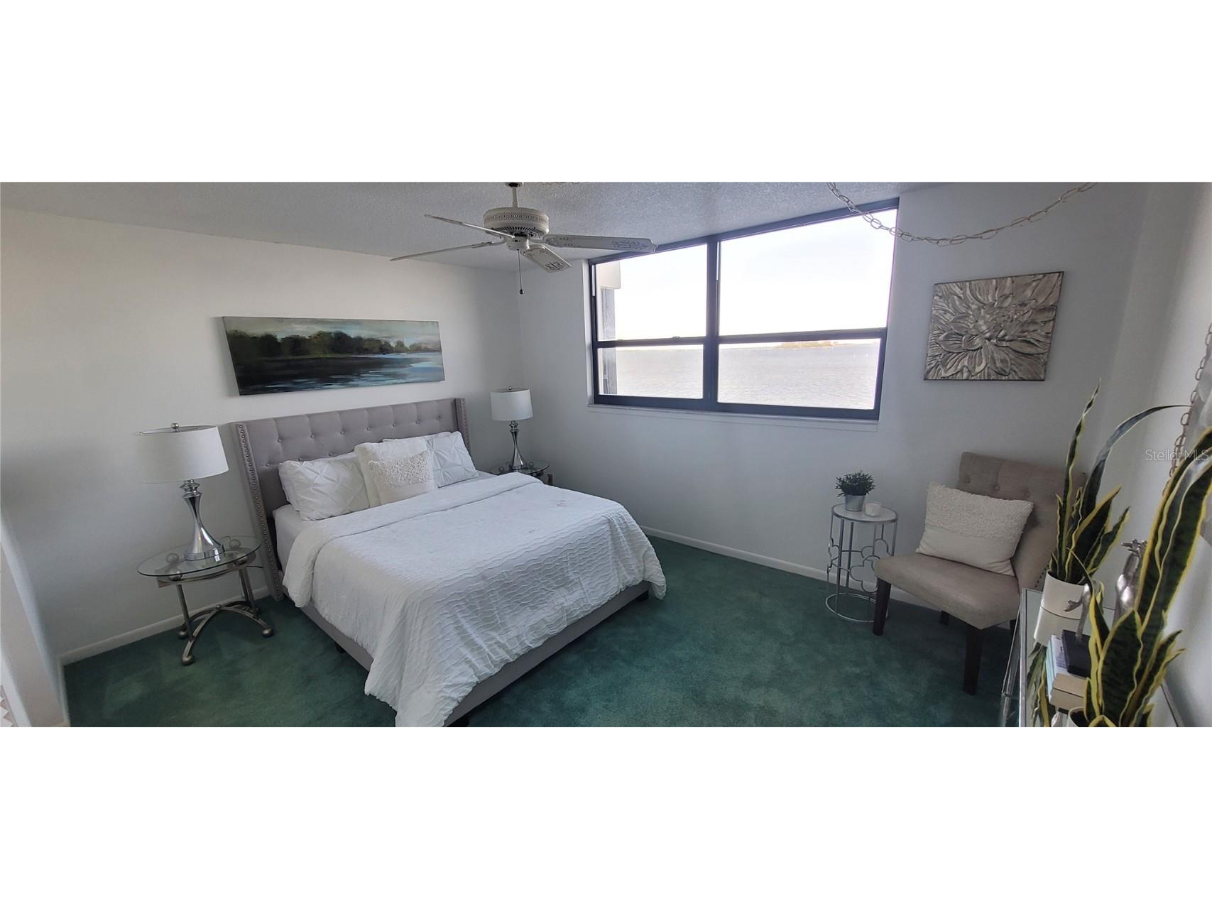 300 Woodette Drive #202B Dunedin FL 34698 TB8441728 image19