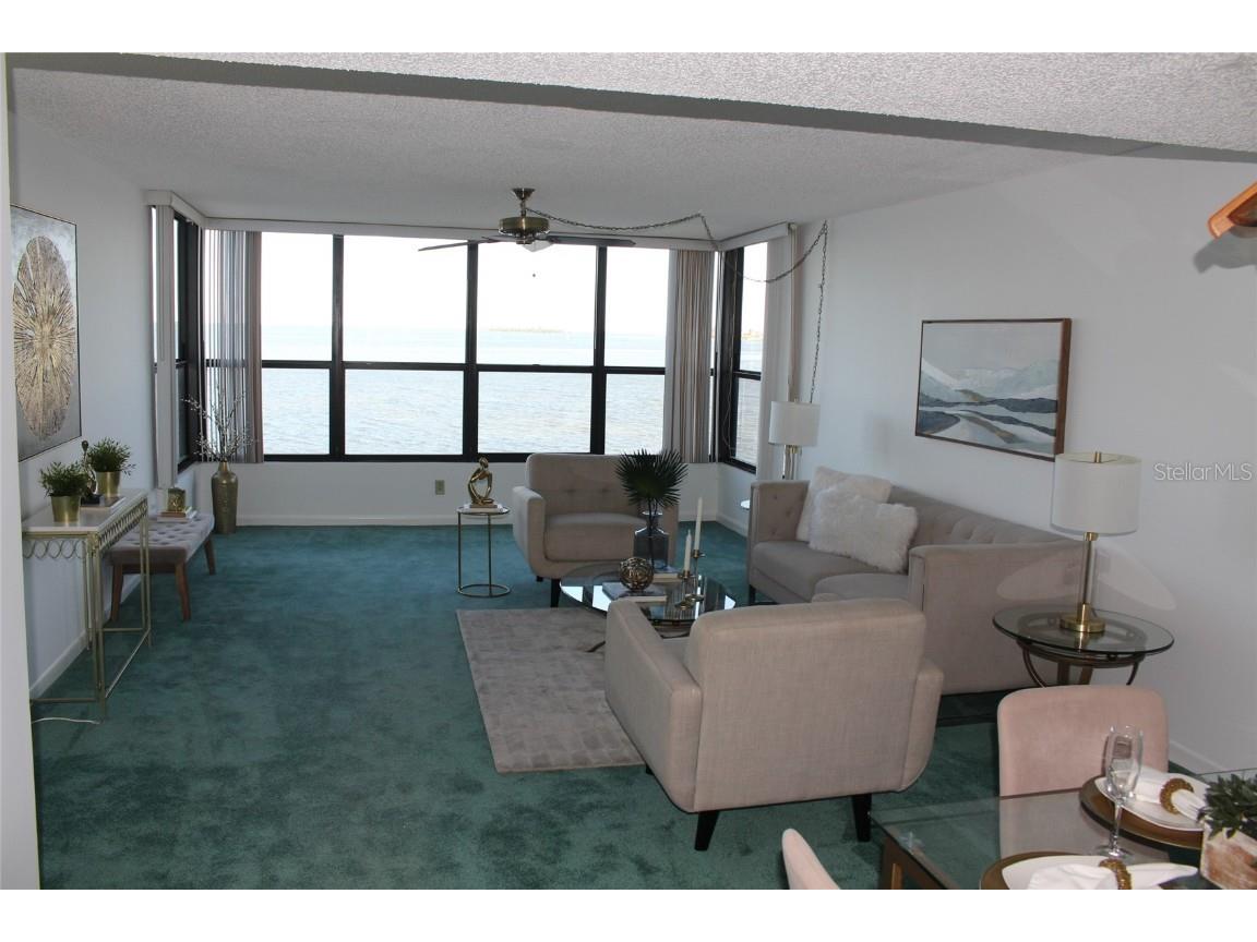 300 Woodette Drive #202B Dunedin FL 34698 TB8441728 image3