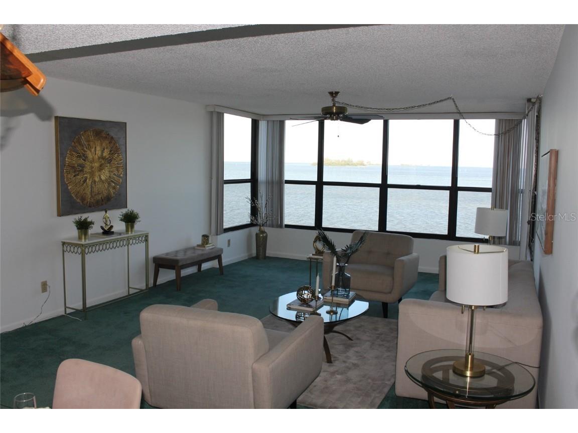 300 Woodette Drive #202B Dunedin FL 34698 TB8441728 image4