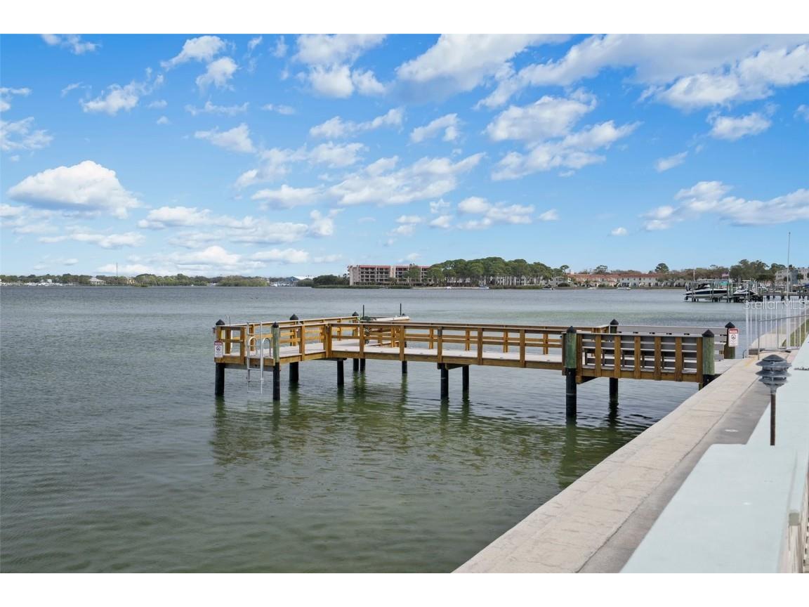 300 Woodette Drive #203 Dunedin FL 34698 - ST. JOSEPH SOUND U8242309 image12