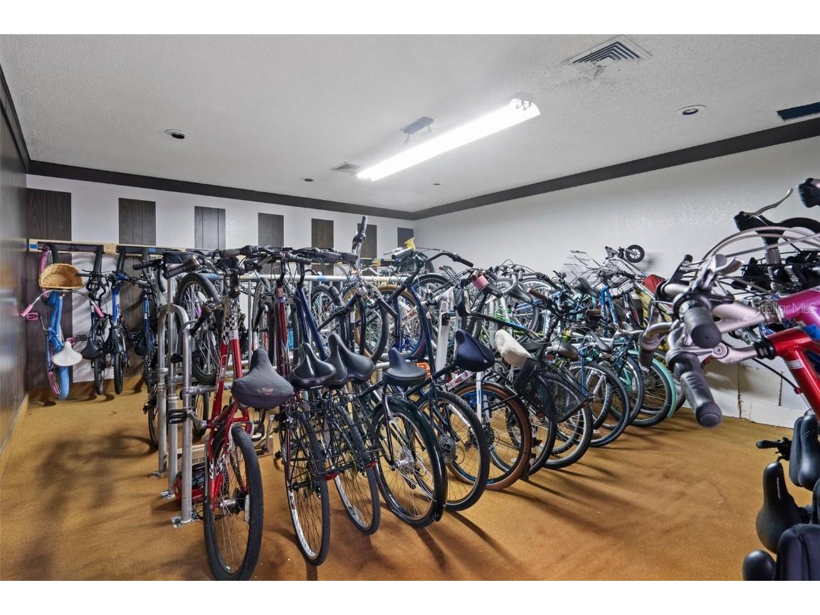 300 Woodette Drive #203 Dunedin FL 34698 - ST. JOSEPH SOUND U8242309 image23